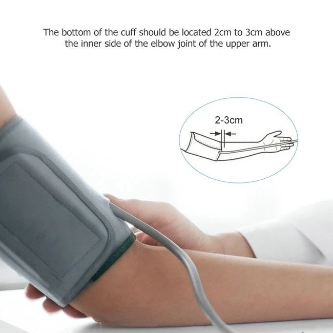 Blood Pressure Cuff And Sphygmomanometer