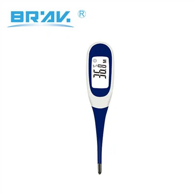 Digital Oral Thermometer